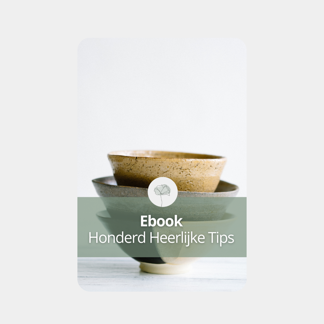 Ebook Honderd Heerlijke Tips