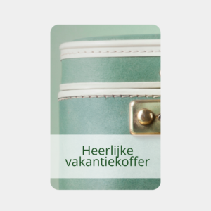 De Heerlijke Vakantiekoffer
